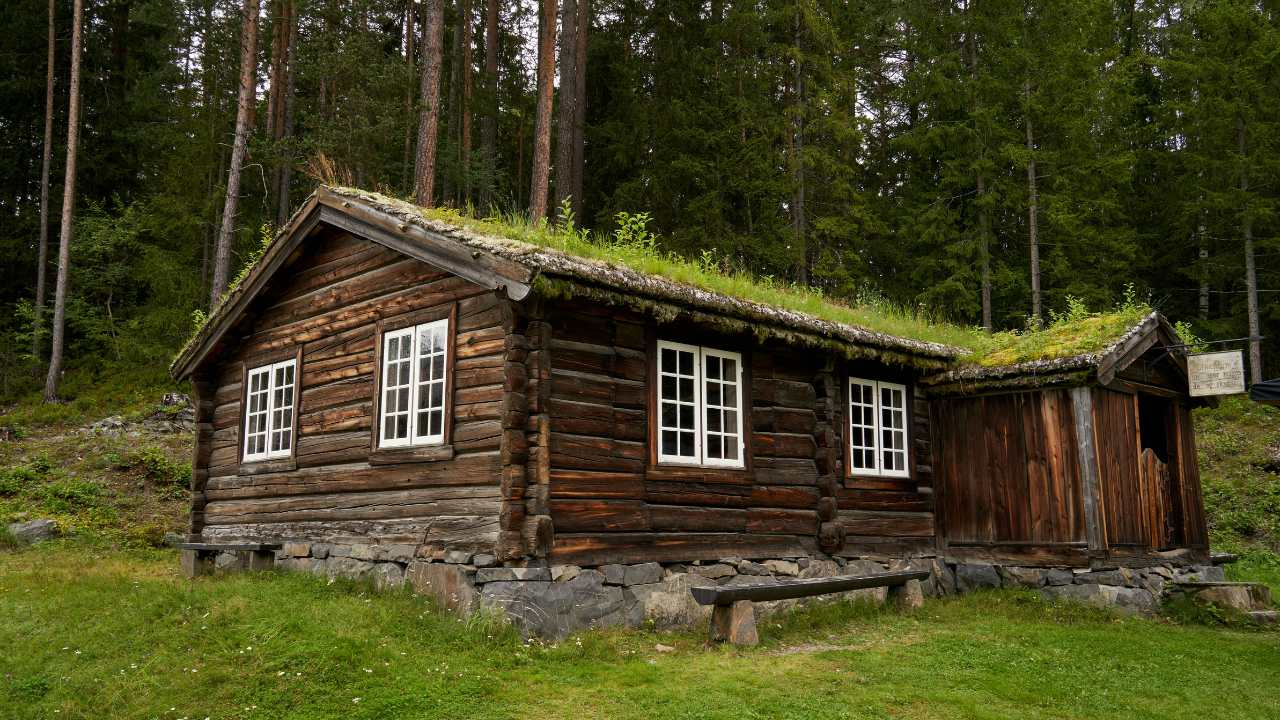 68d016e39710447857454231 environmental impact of log cabin